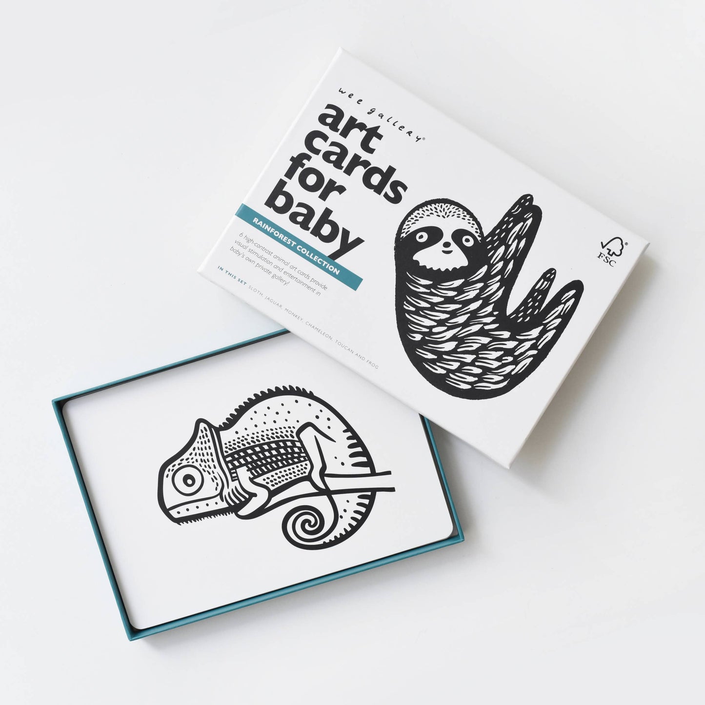 Art Cards for Baby - Rainforest Animals
