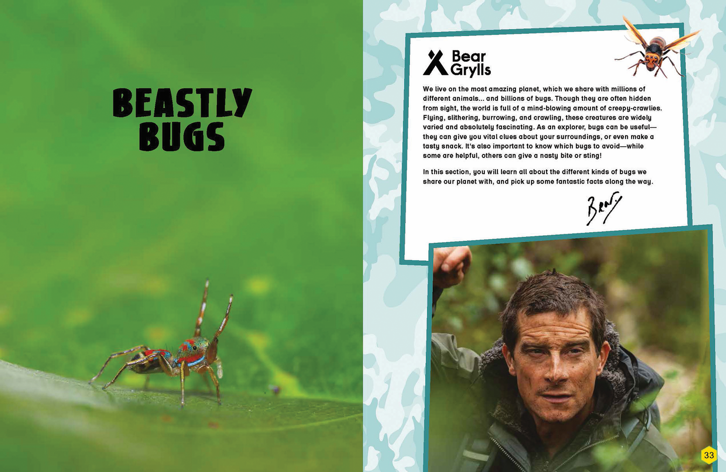 Bear Grylls Wild Animals Activity Book