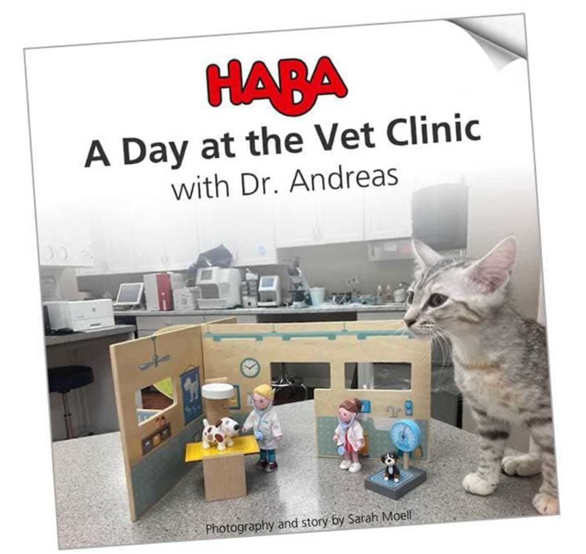 Little Friends Vet Clinic Playset with Rebecca Doll Age: 3 Years and Up