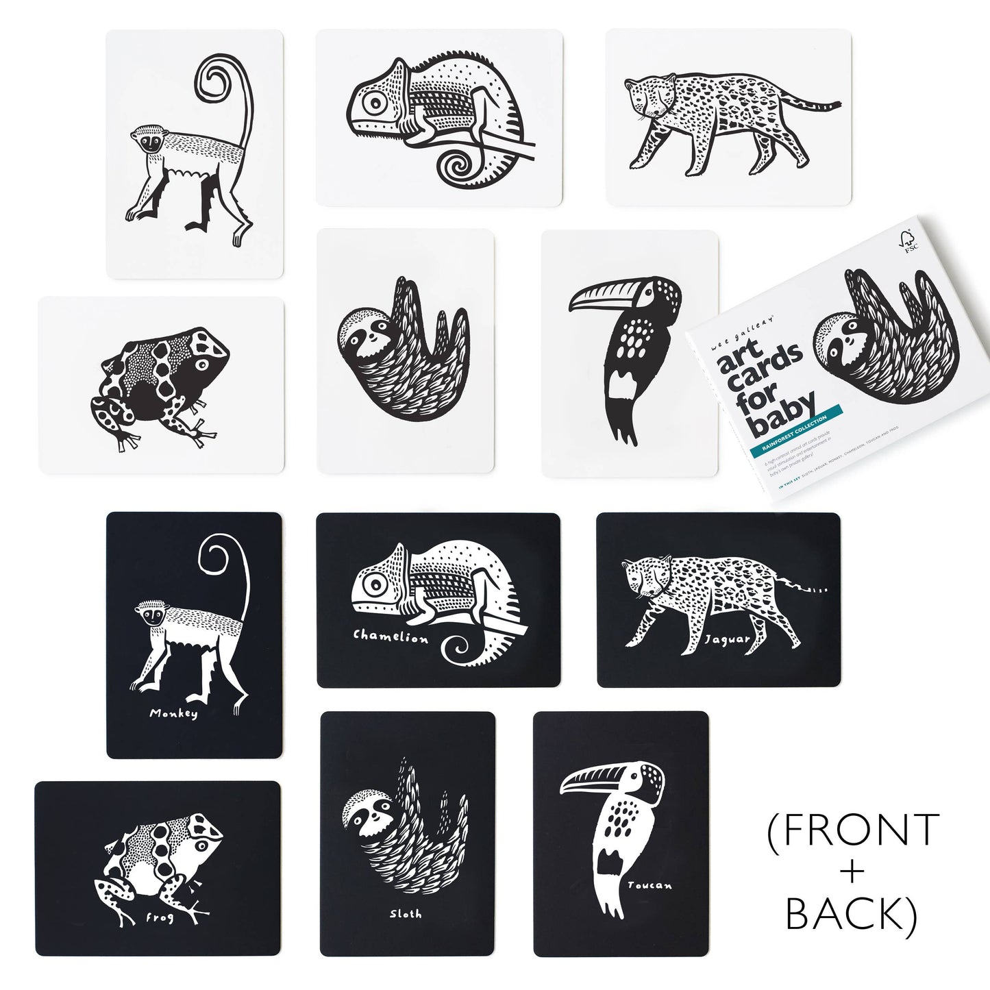 Art Cards for Baby - Rainforest Animals