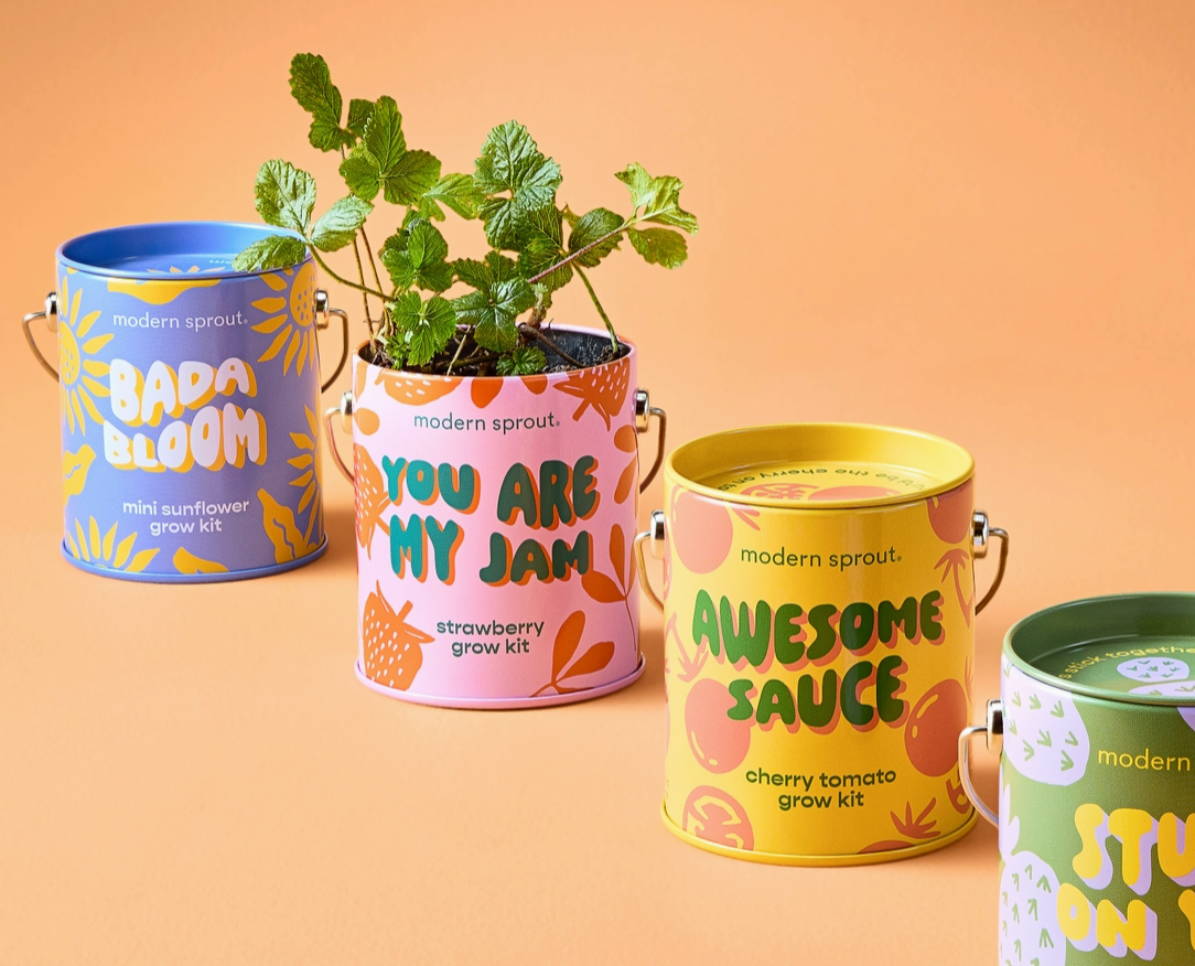 Plants- Growing Kits