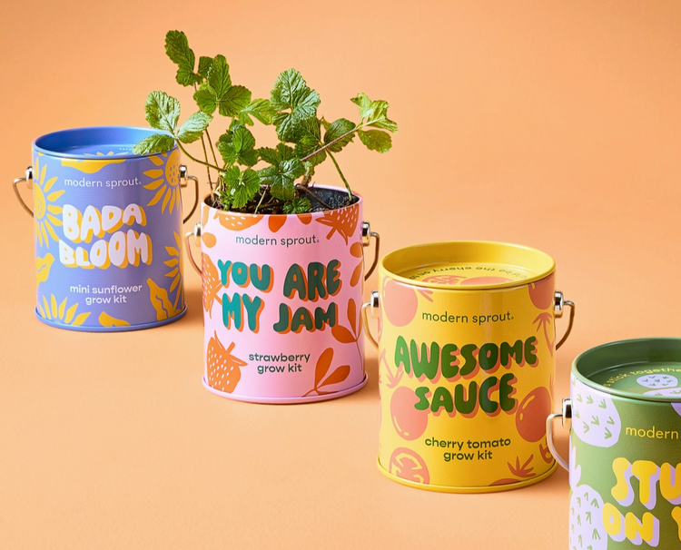 Plants- Growing Kits