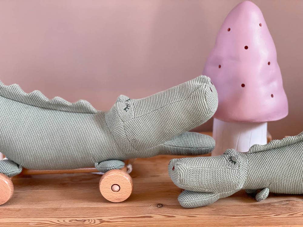 Pull-Along Croc – Petite Pebbles