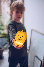 Miffy and Friends Lion soft night light Small