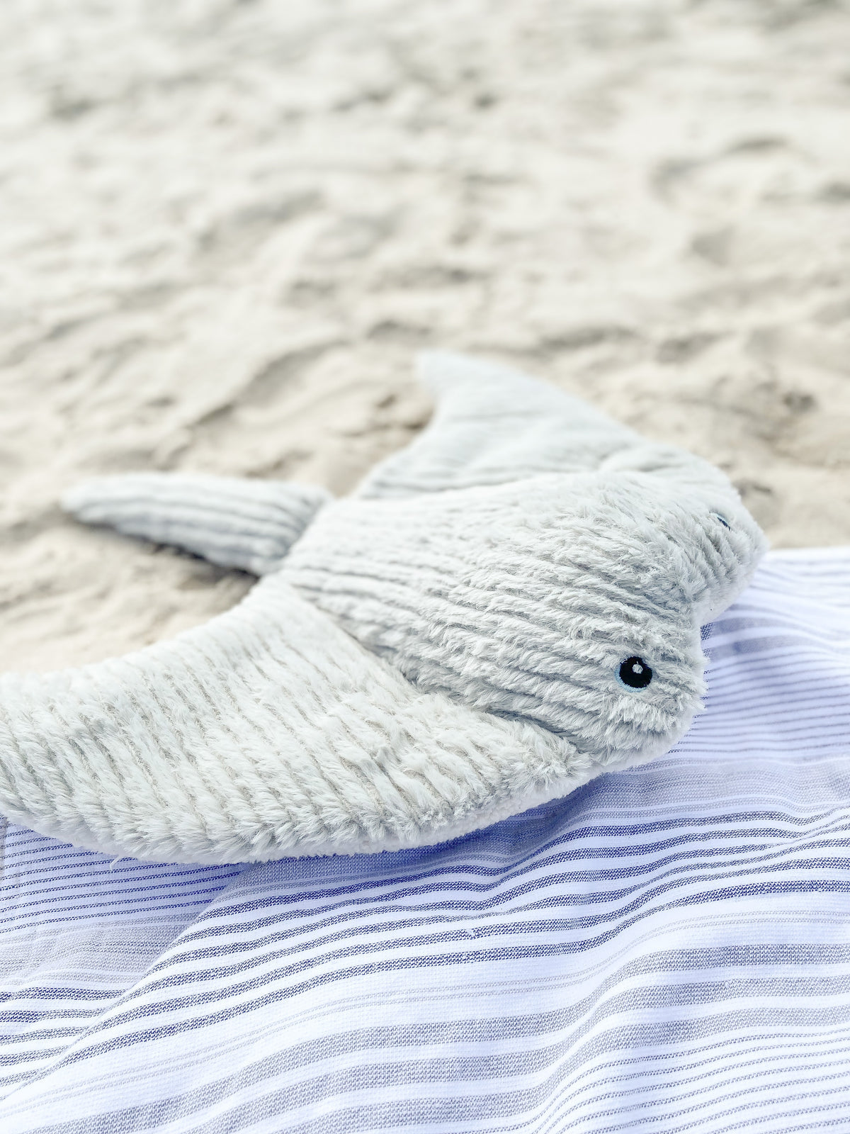MON AMI MONTY THE MANTA RAY