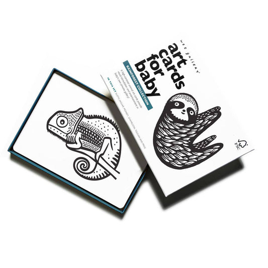 Art Cards for Baby - Rainforest Animals