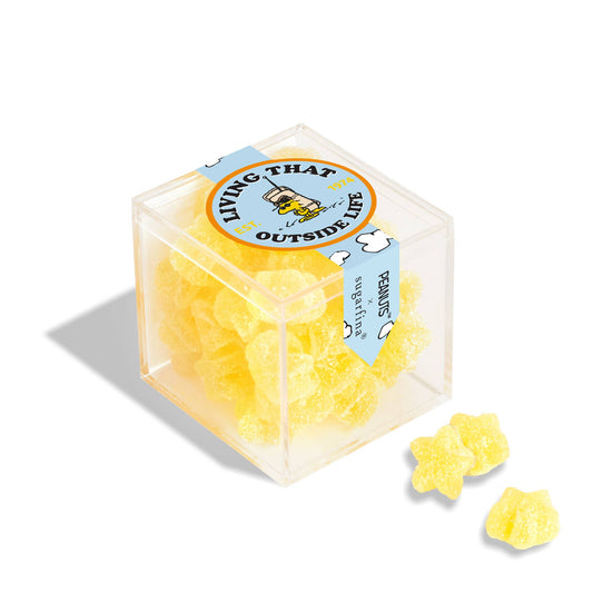 Sugarfina Living That Outside Life - Lemonade Stars - Small (Peanuts®)