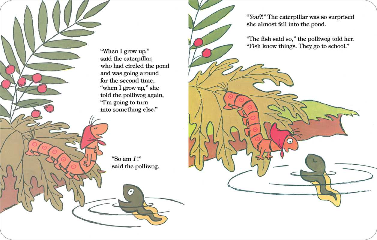 Caterpillar and the Polliwog by Jack Kent