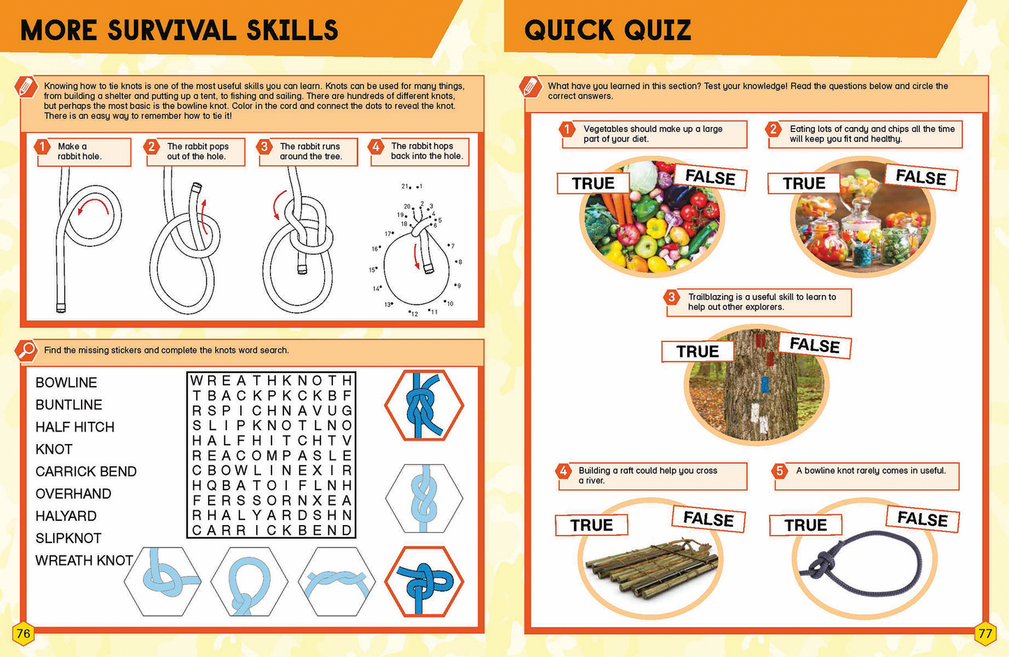 Bear Grylls Wild Animals Activity Book