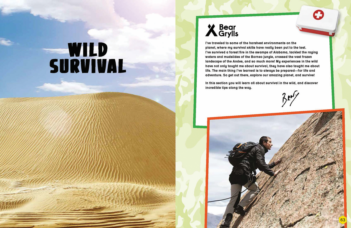 Bear Grylls Wild Animals Activity Book