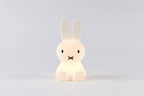 Mr Maria Miffy soft-to-touc Bundle of Light Children Friendly