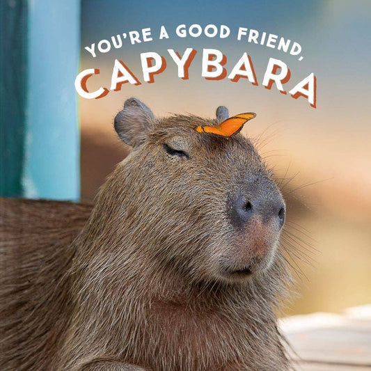 You're a Good Friend  Capybara