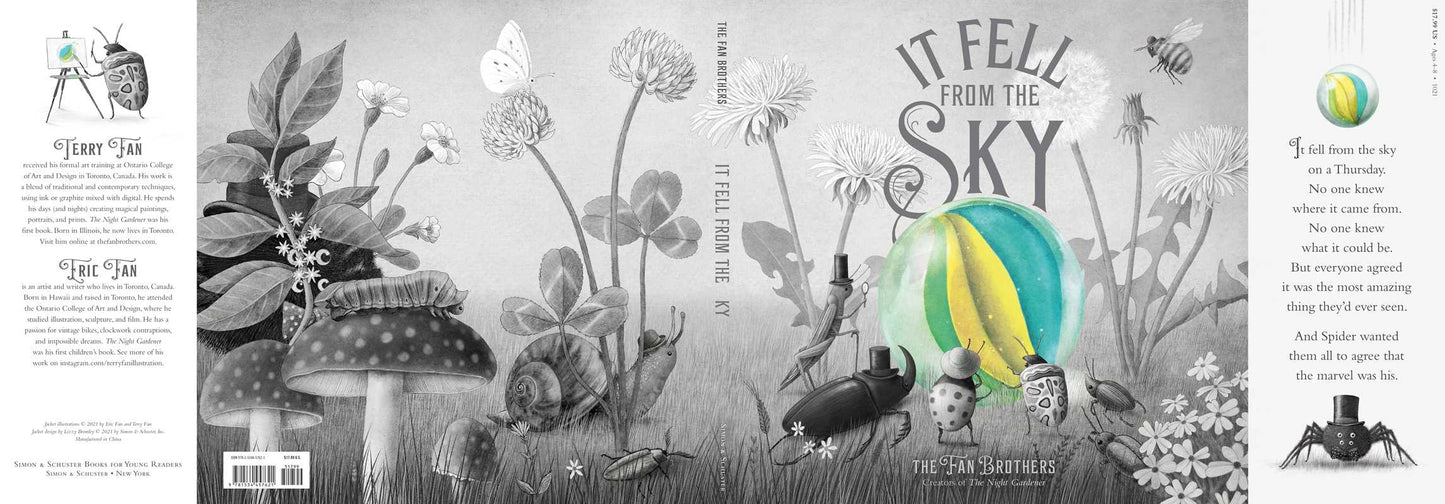 It Fell from the Sky by Terry Fan