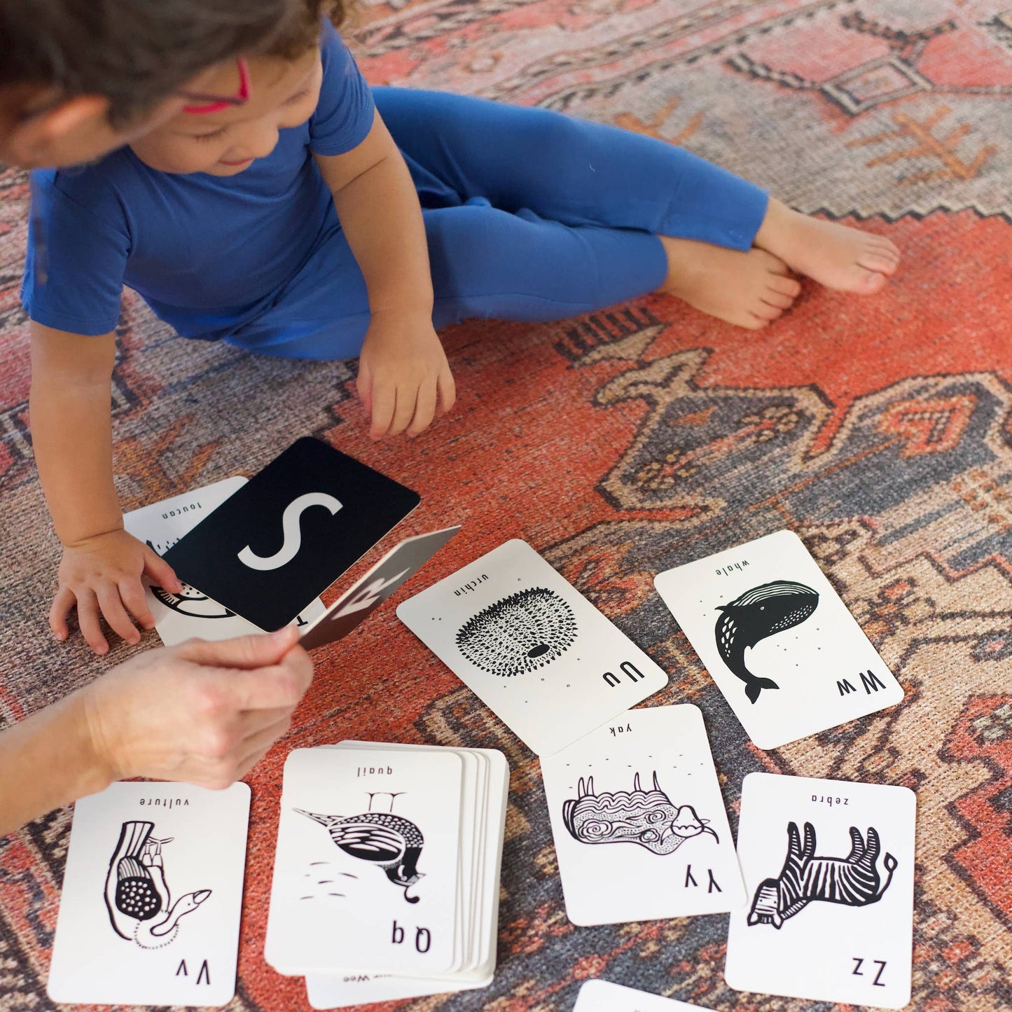 Animal Alphabet Cards 0+