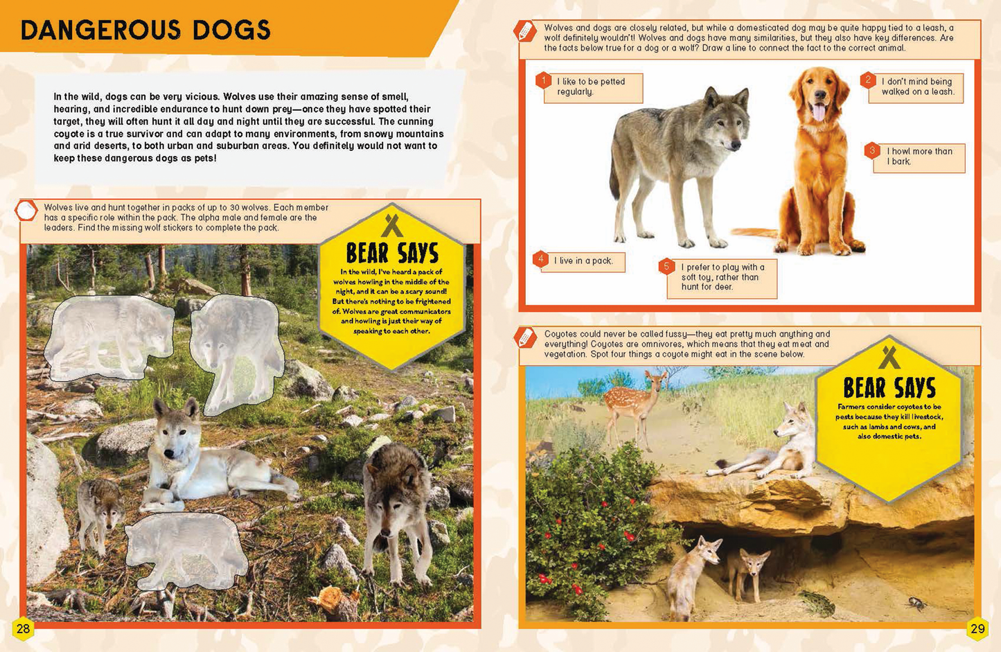 Bear Grylls Wild Animals Activity Book