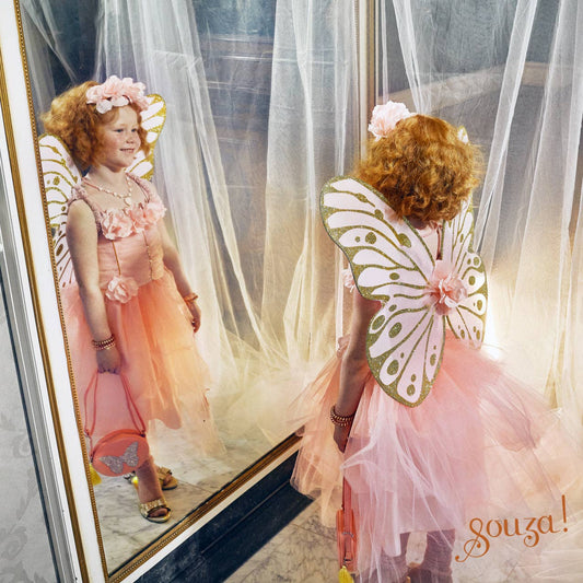 Fairy in Pink Costume- Annemarie - Velvet Dress with Tulle and wings